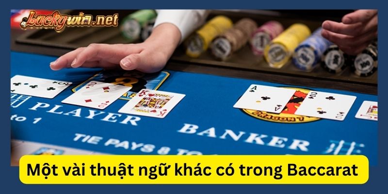 Thuật Ngữ Trong Baccarat: Giải Thích Và Lưu Ý Liên Quan Những thuật ngữ thứ vị khác trong game bài Baccarat