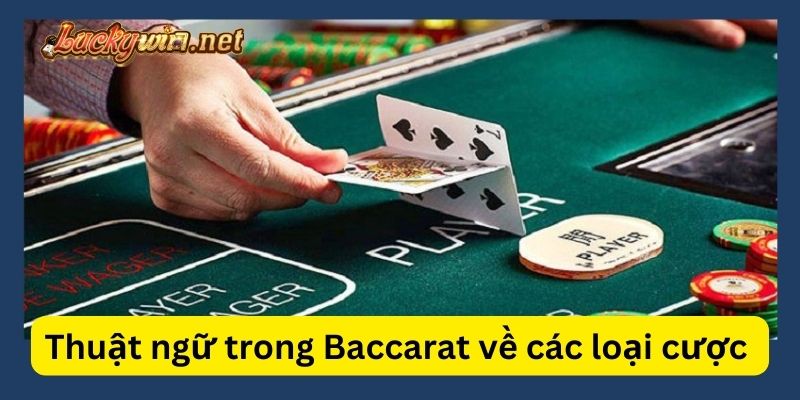 Thuật Ngữ Trong Baccarat: Giải Thích Và Lưu Ý Liên Quan Thuật ngữ trong game bài Baccarat về các thể loại cá cược