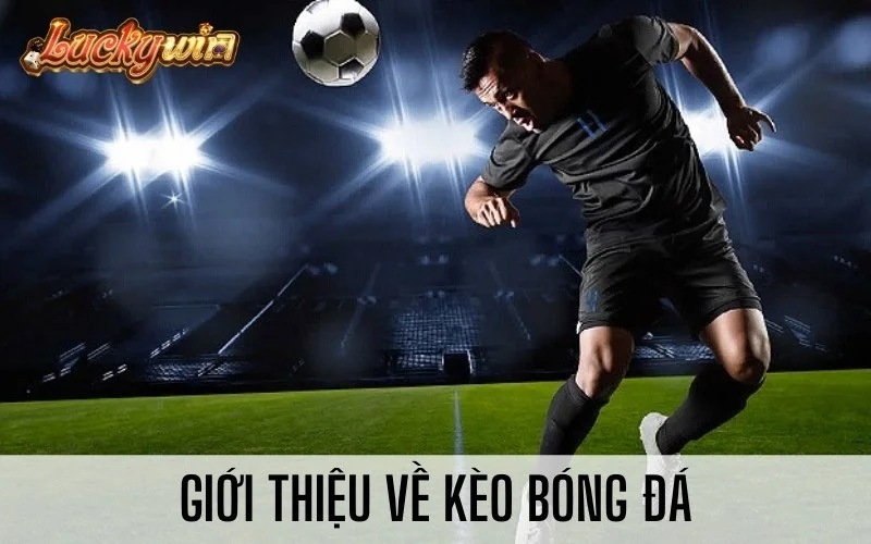 Kèo Bóng Đá Là Gì? Các Loại Kèo Cược Bóng Đá Chính Giới thiệu về kèo bóng đá