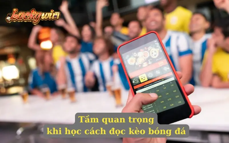 Hướng Dẫn Cách Đọc Kèo Bóng Đá Giúp Phân Biệt Chính Xác Tầm quan trọng khi học cách đọc kèo bóng đá