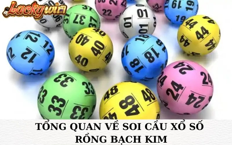 Bật mí phương Pháp Soi Cầu Xổ Số Rồng Bạch Kim Chuẩn Xác Tổng quan về soi cầu xổ số Rồng Bạch Kim