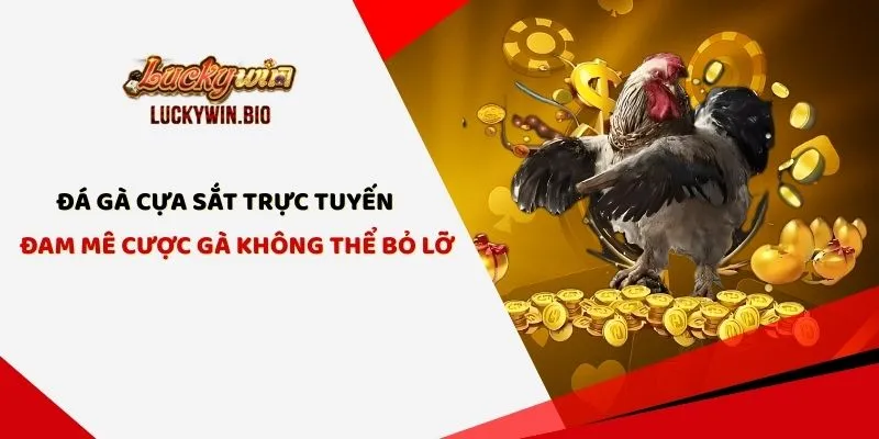 Đá Gà Cựa Sắt Trực Tuyến - Đam Mê Cược Gà Không Thể Bỏ Lỡ
