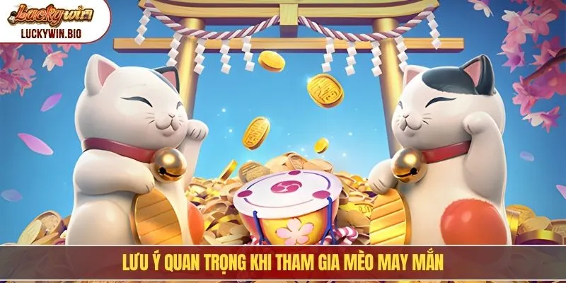 Lưu ý quan trọng khi tham gia mèo may mắn