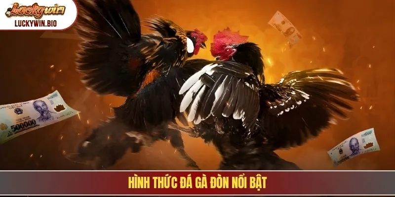 Hình thức đá gà đòn nổi bật